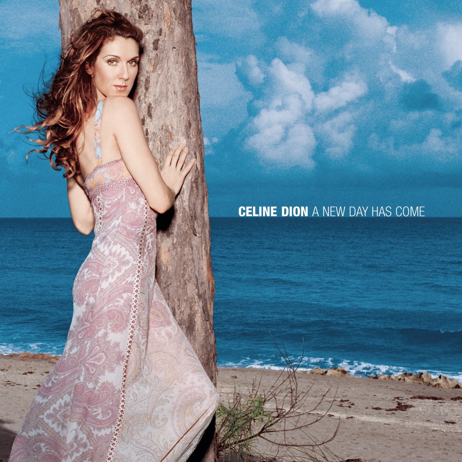 CELINE DION - A NEW DAY HAS COME  (Cd)