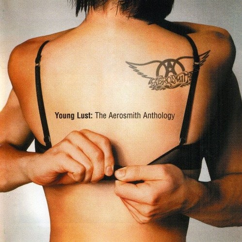 AEROSMITH - YOUNG LUST-ANTHOLOGY  (2Cd)