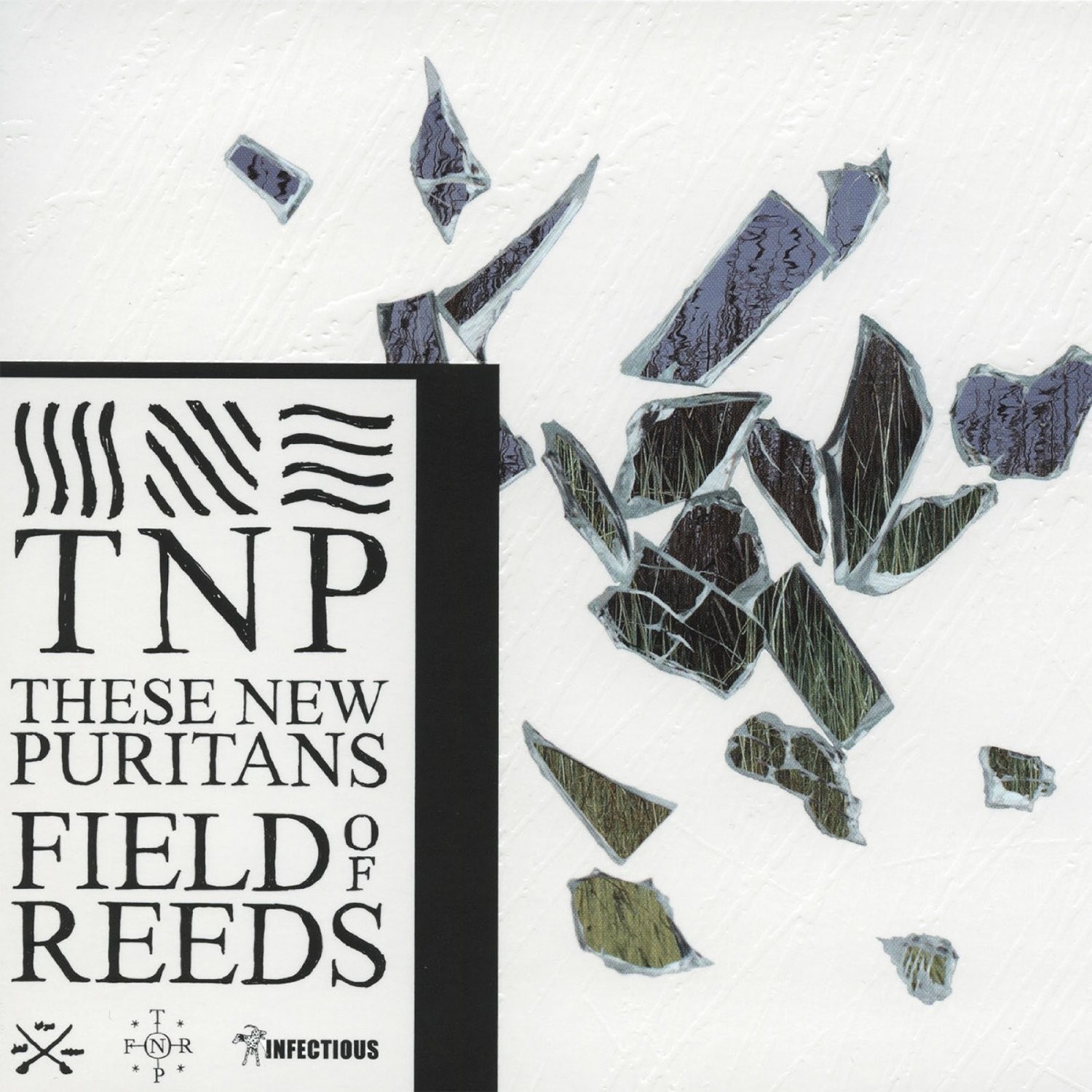THESE NEW PURITANS - FIELD OF REEDS -LTD-