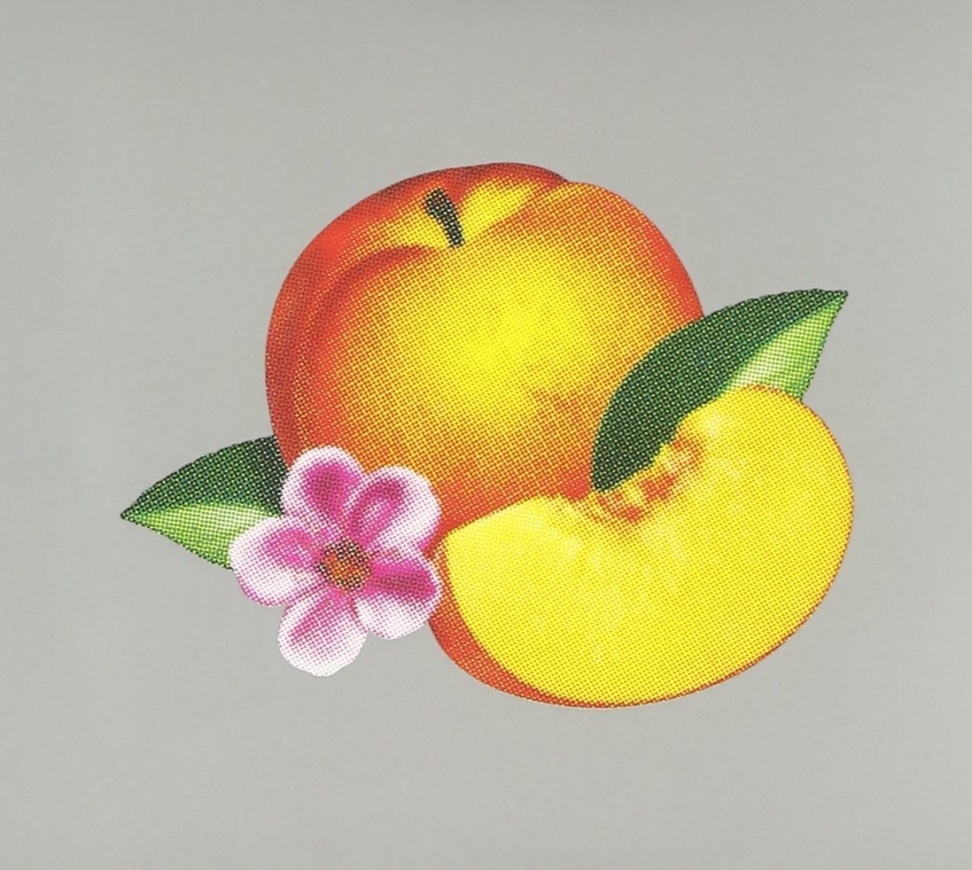 PHOENIX - BANKRUPT - 2CD