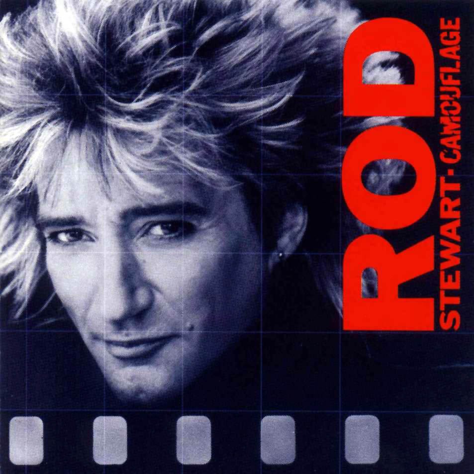 ROD STEWART - CAMOUFLAGE  (Cd)